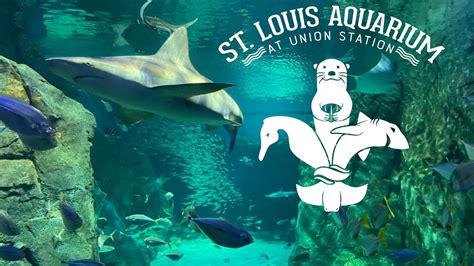 union station aquarium hours